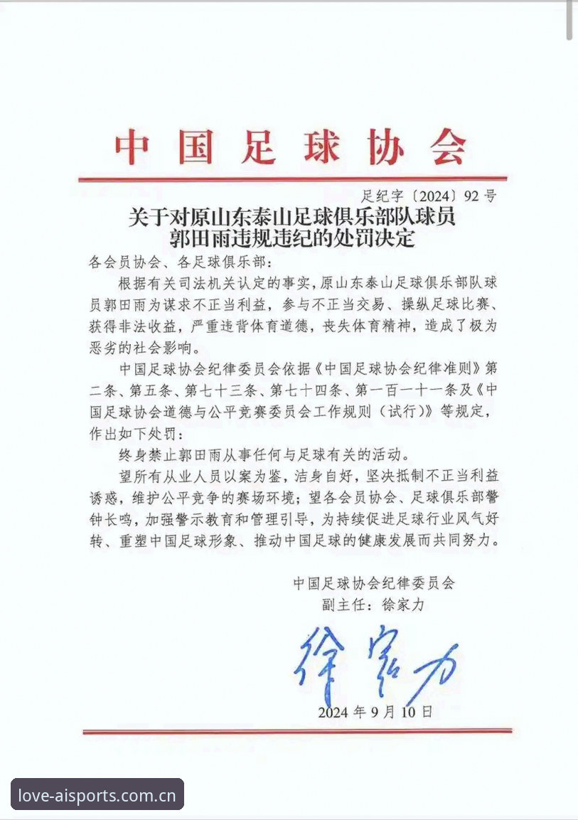 中国足协第三批禁足名单深度解析：65人受罚背后的行业生态重构